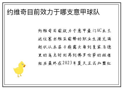 约维奇目前效力于哪支意甲球队