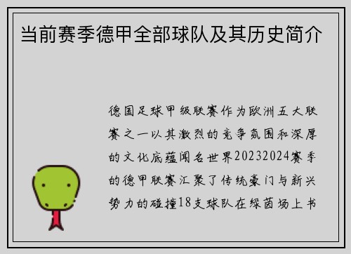 当前赛季德甲全部球队及其历史简介