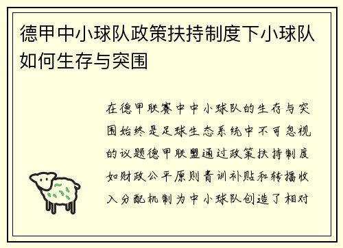 德甲中小球队政策扶持制度下小球队如何生存与突围